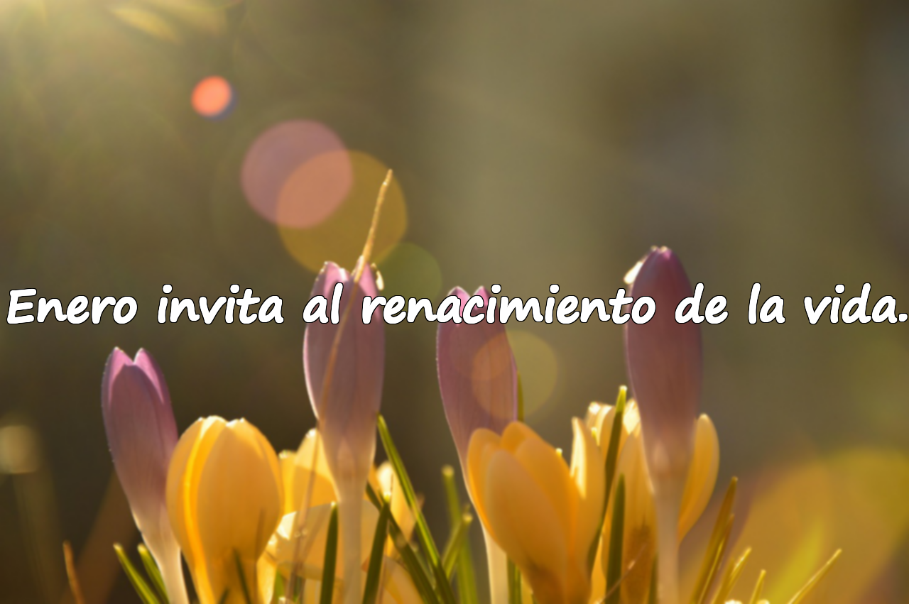 Enero invita al renacimiento de la vida.