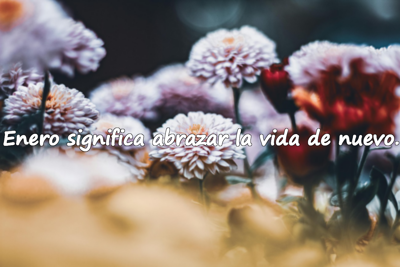 Enero significa abrazar la vida de nuevo.