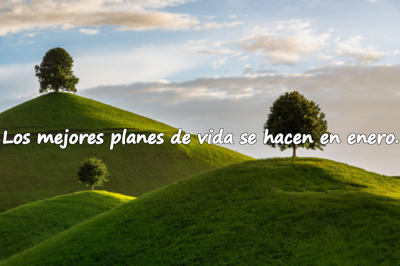 Los mejores planes de vida se hacen en enero.