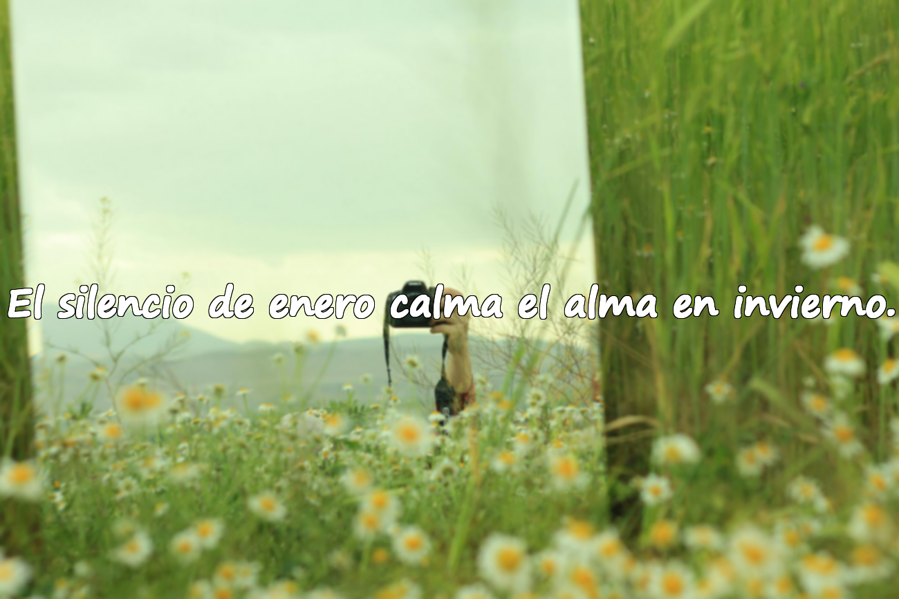 El silencio de enero calma el alma en invierno.