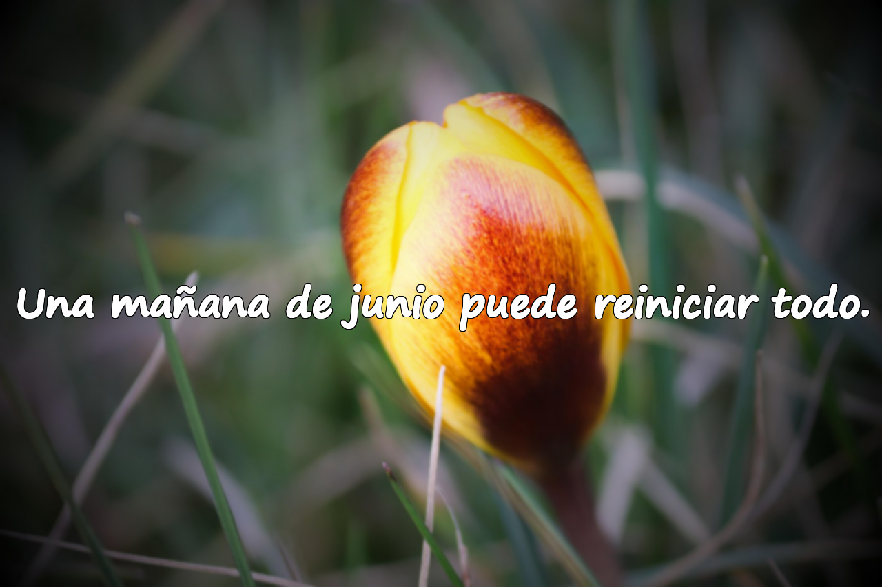 Frases sobre el mes de junio