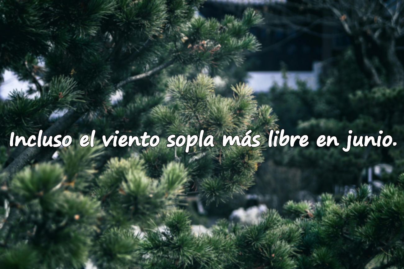 Frases sobre el mes de junio