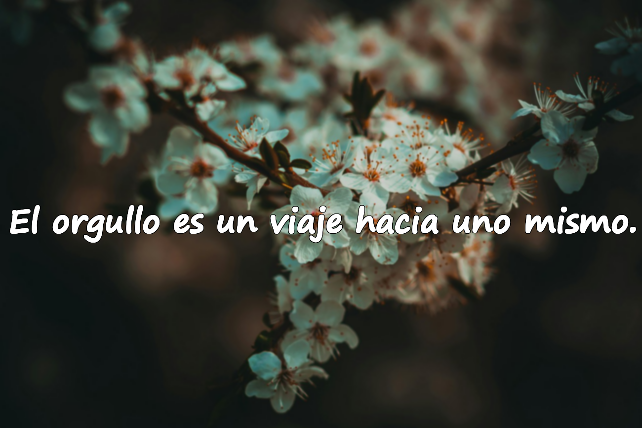 El orgullo es un viaje hacia uno mismo.