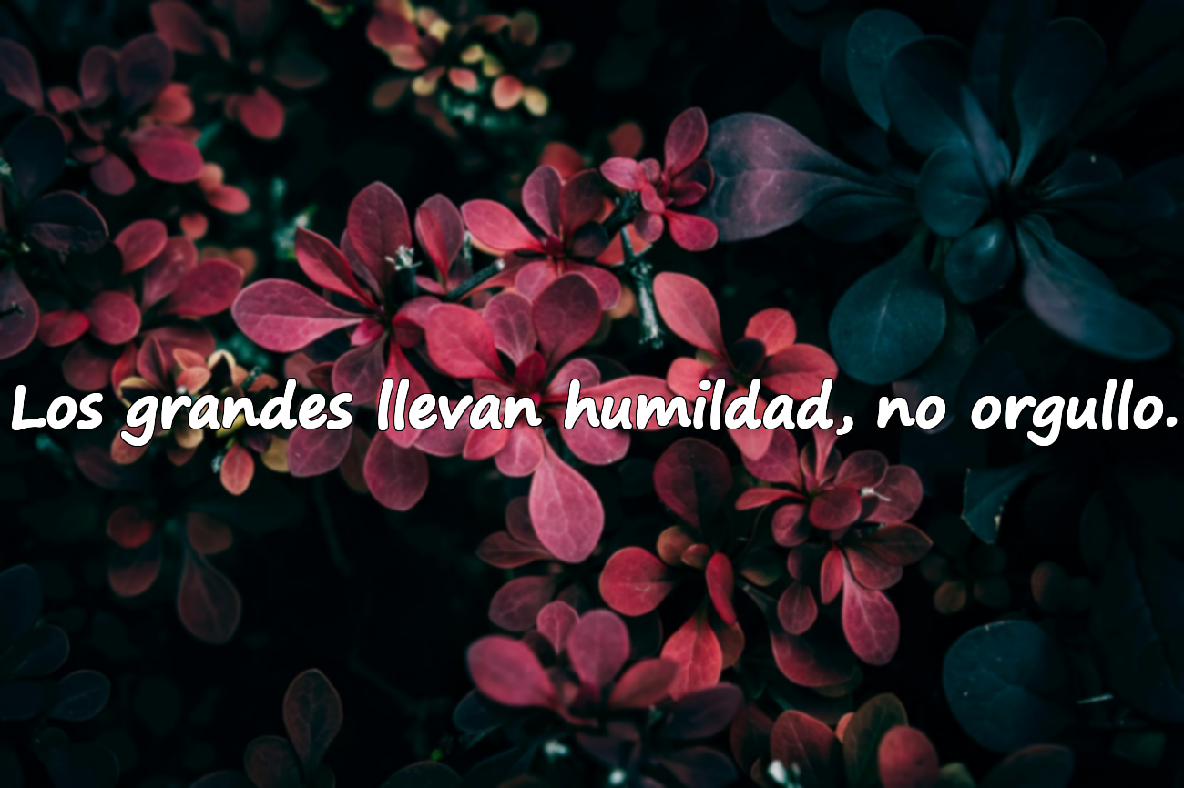 Los grandes llevan humildad, no orgullo.
