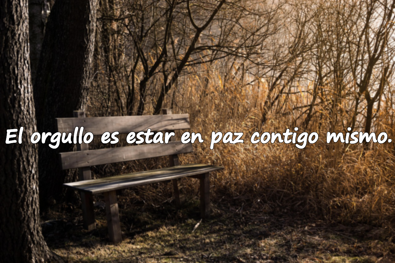El orgullo es estar en paz contigo mismo.