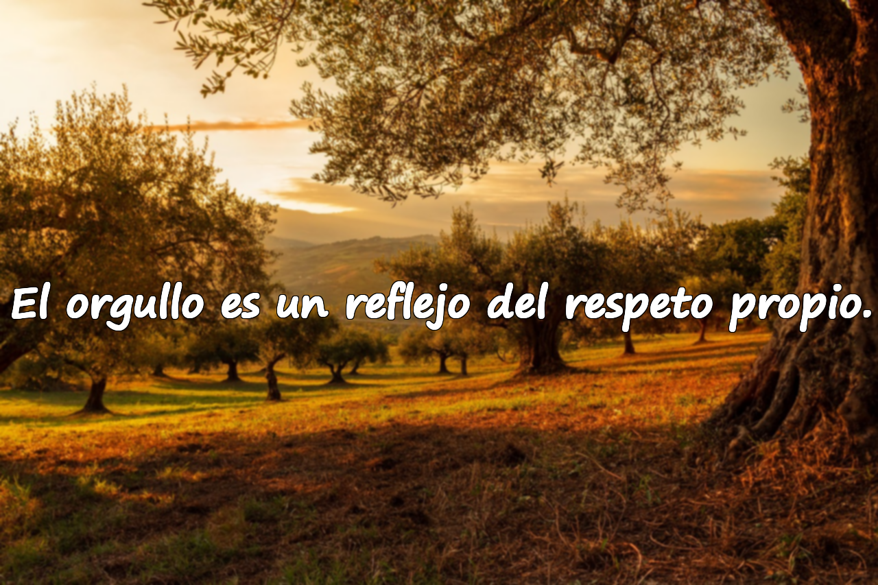 El orgullo es un reflejo del respeto propio.