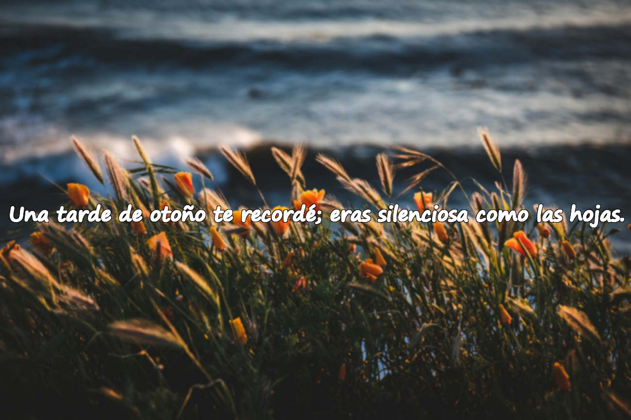 Frases sobre el otoño