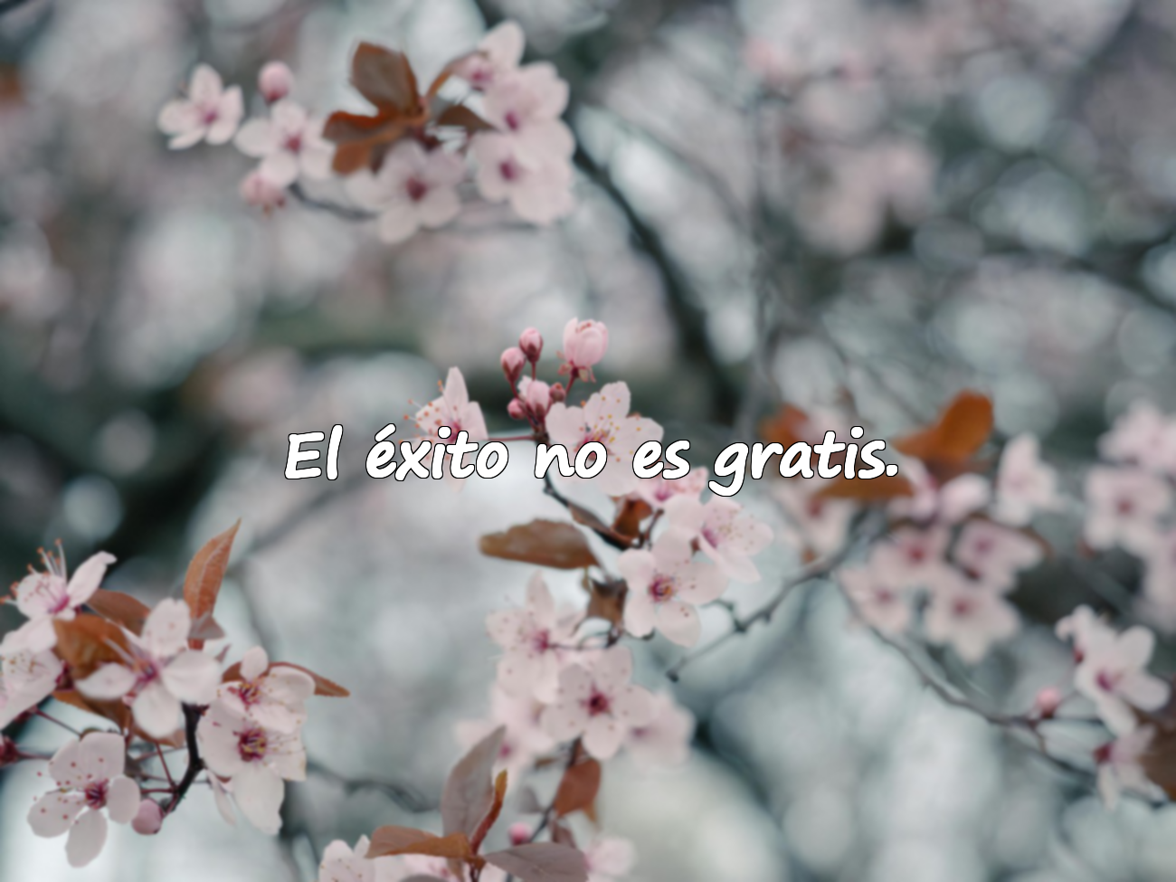 Frases sobre el precio a pagar
