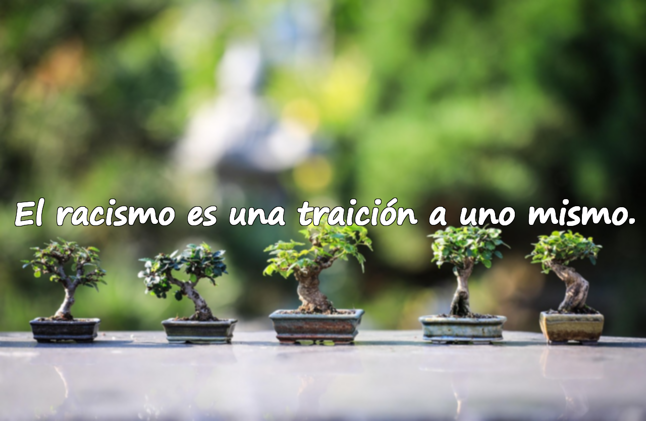 El racismo es una traición a uno mismo.
