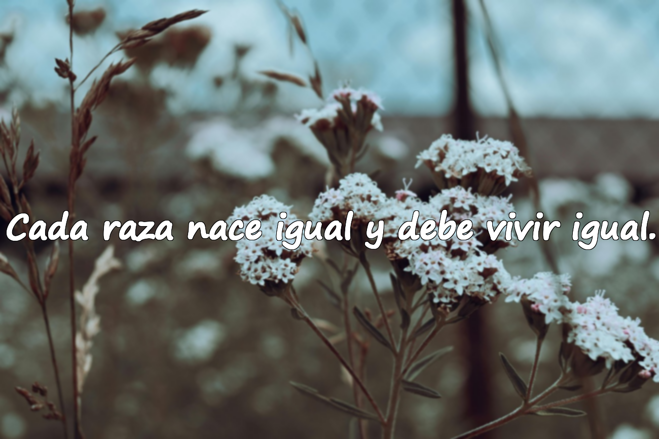Cada raza nace igual y debe vivir igual.