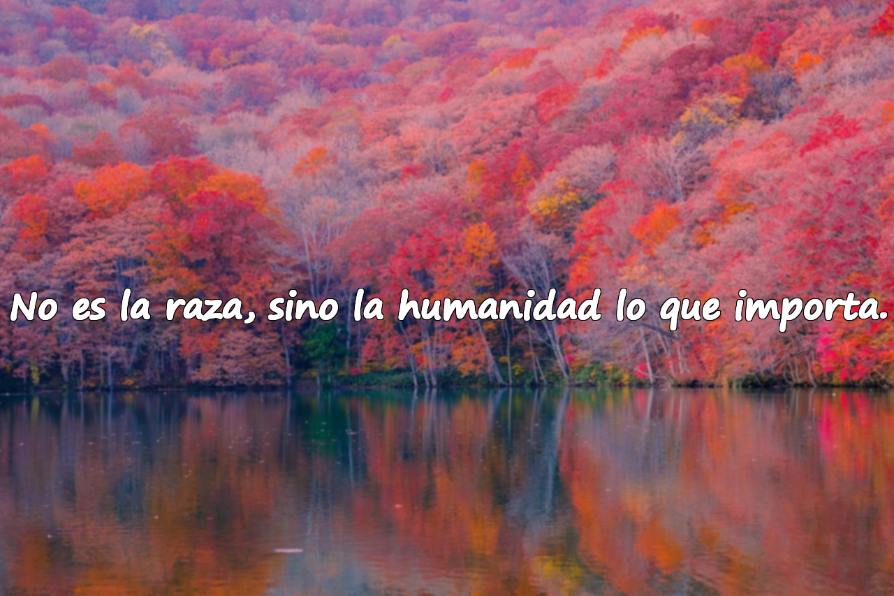 No es la raza, sino la humanidad lo que importa.