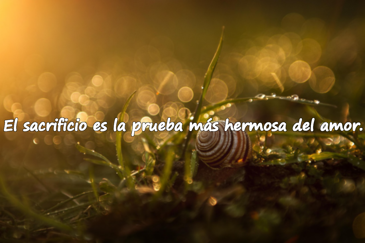 El sacrificio es la prueba más hermosa del amor.