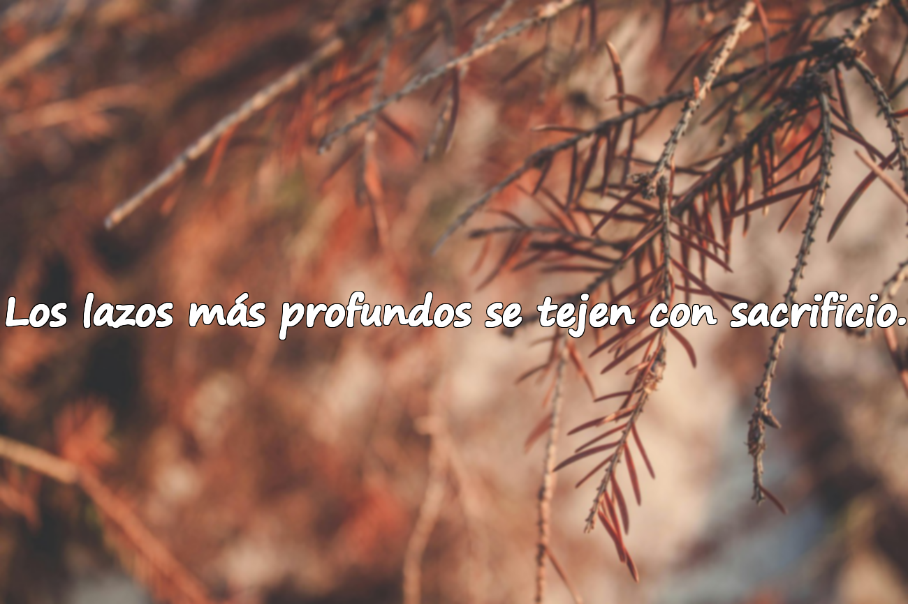 Los lazos más profundos se tejen con sacrificio.