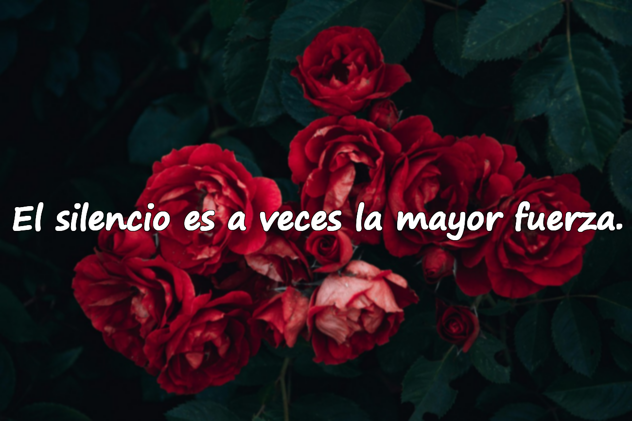 Frases sobre el silencio