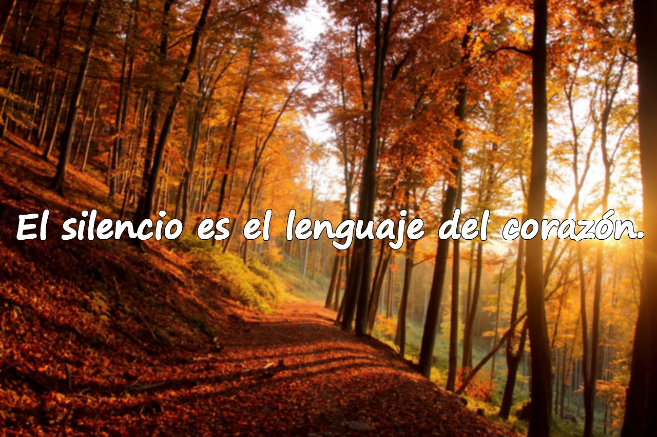 Frases sobre el silencio