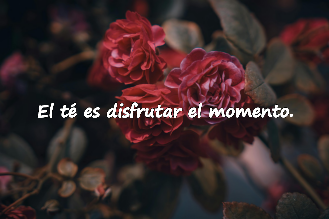Frases sobre el té
