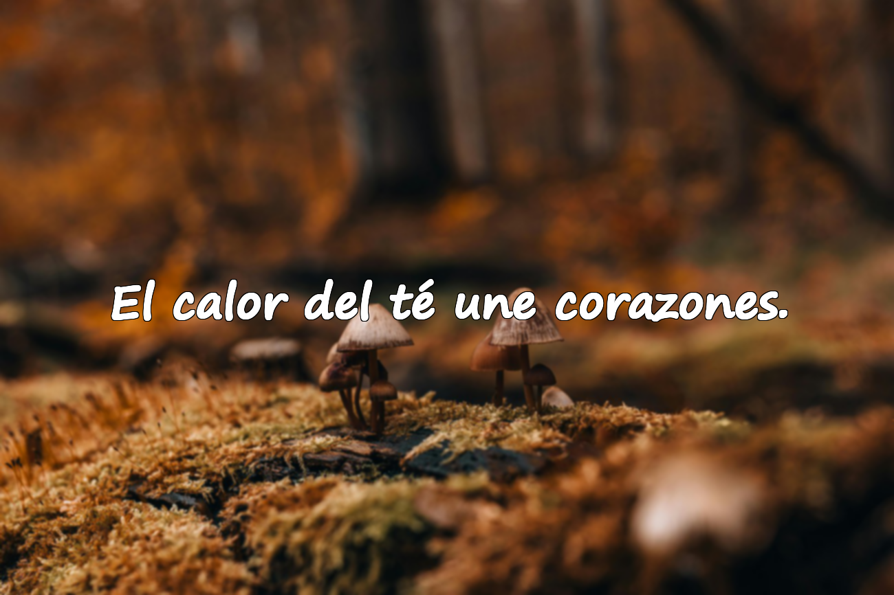 Frases sobre el té