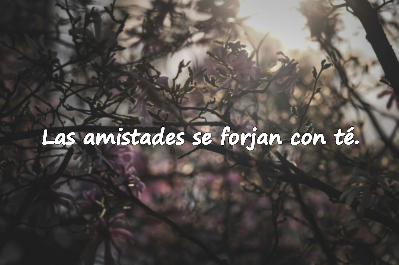 Frases sobre el té