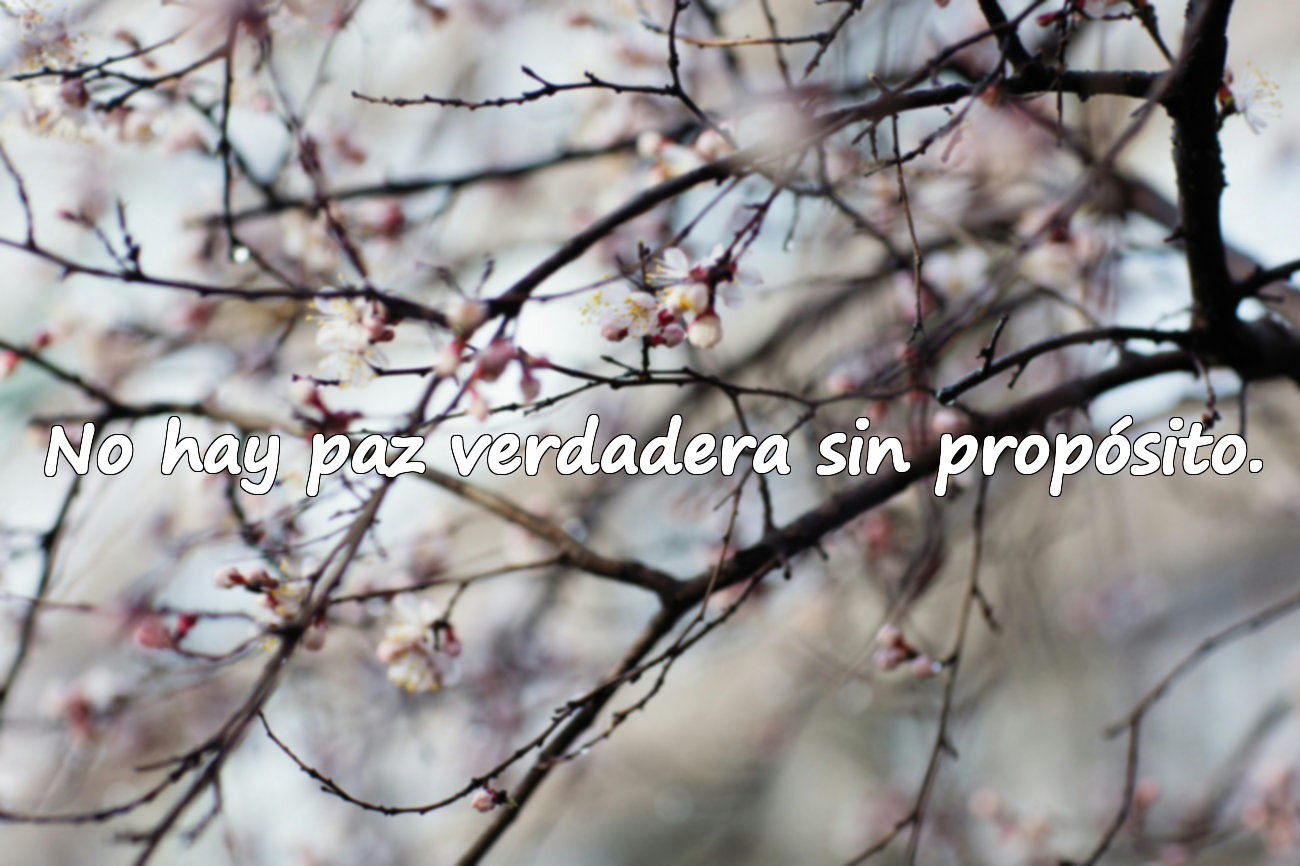 No hay paz verdadera sin propósito.