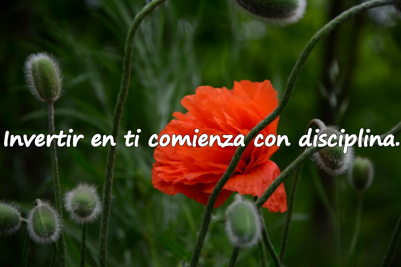 Invertir en ti comienza con disciplina.