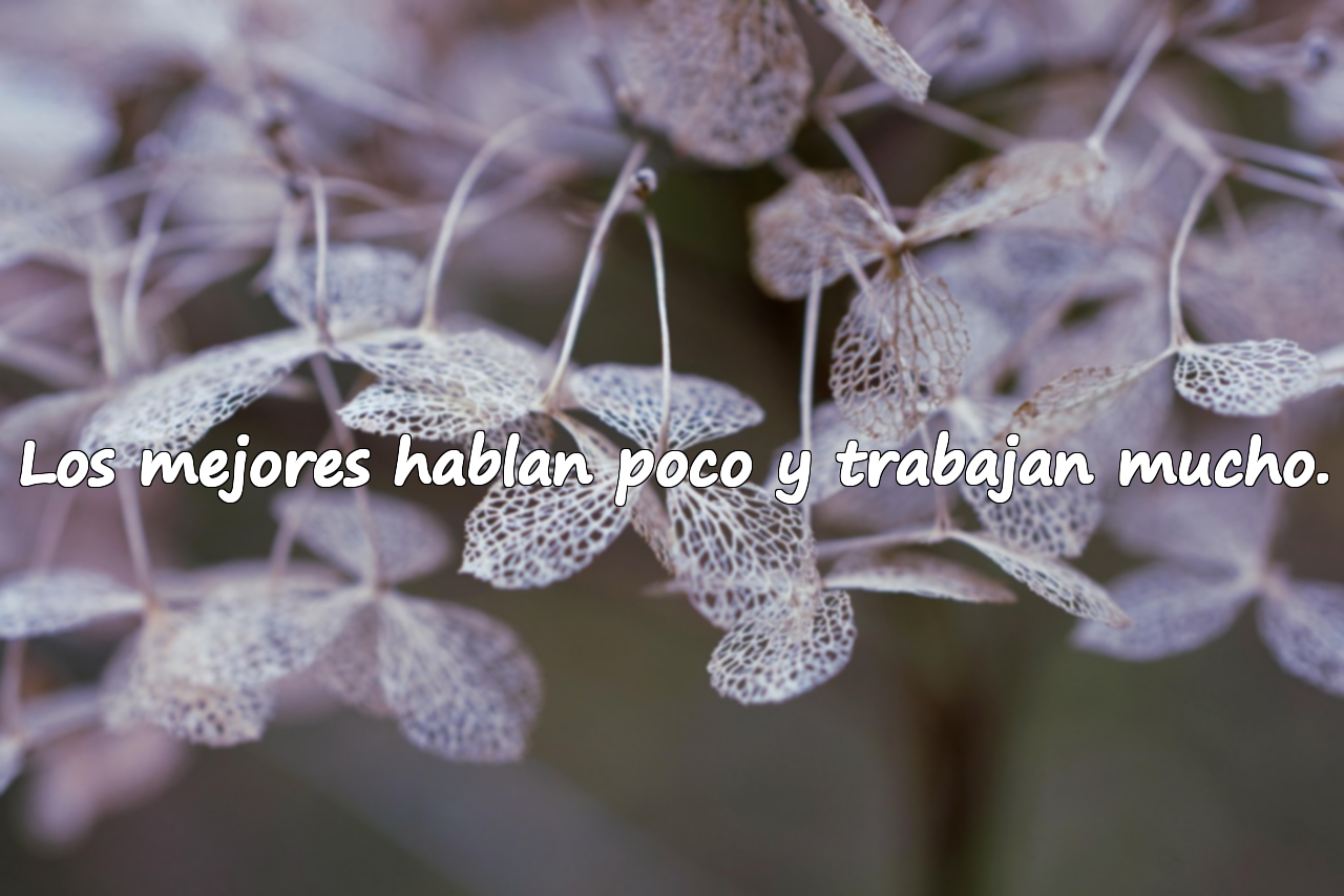 Los mejores hablan poco y trabajan mucho.
