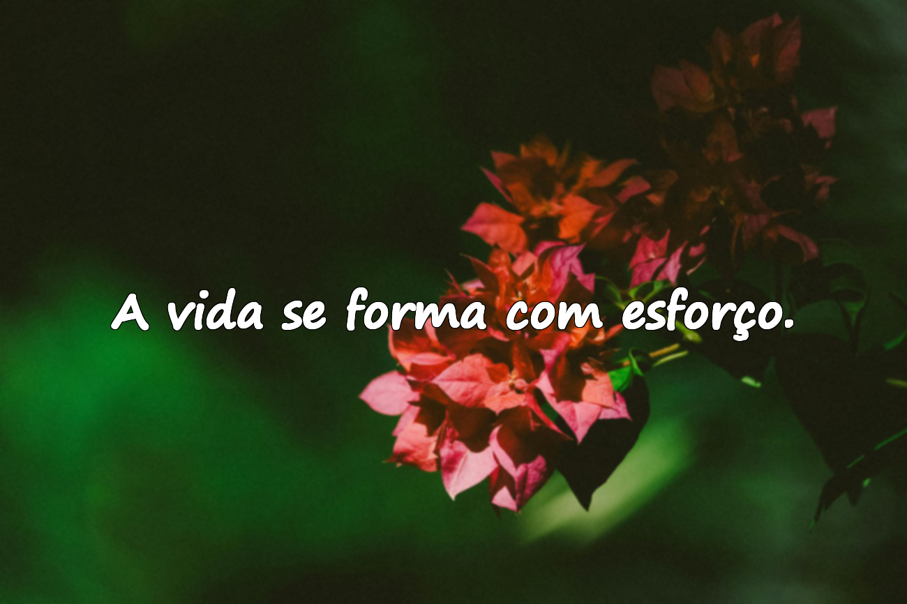Frases sobre esforço