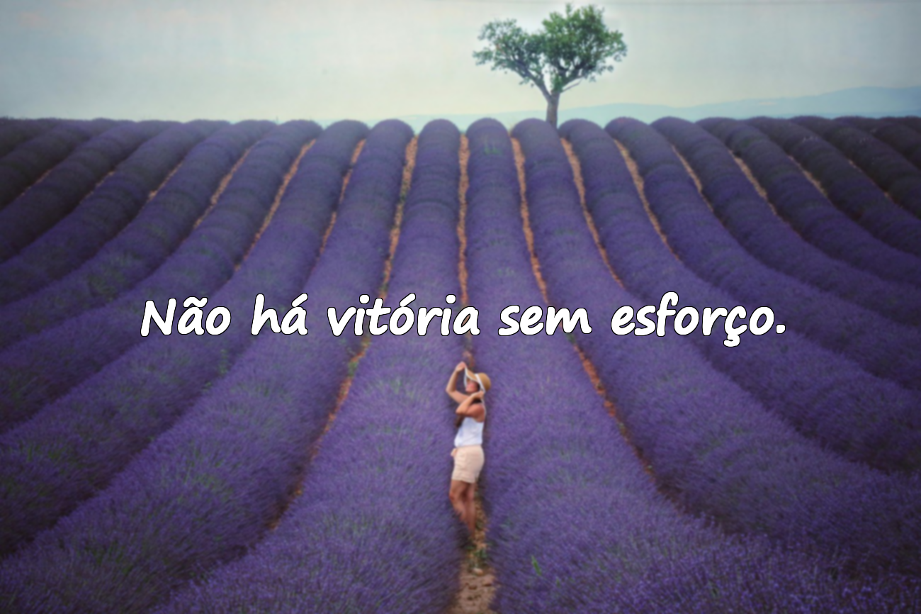 Frases sobre esforço