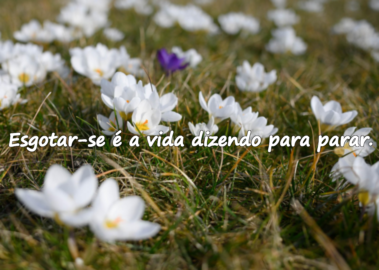 Frases sobre esgotamento