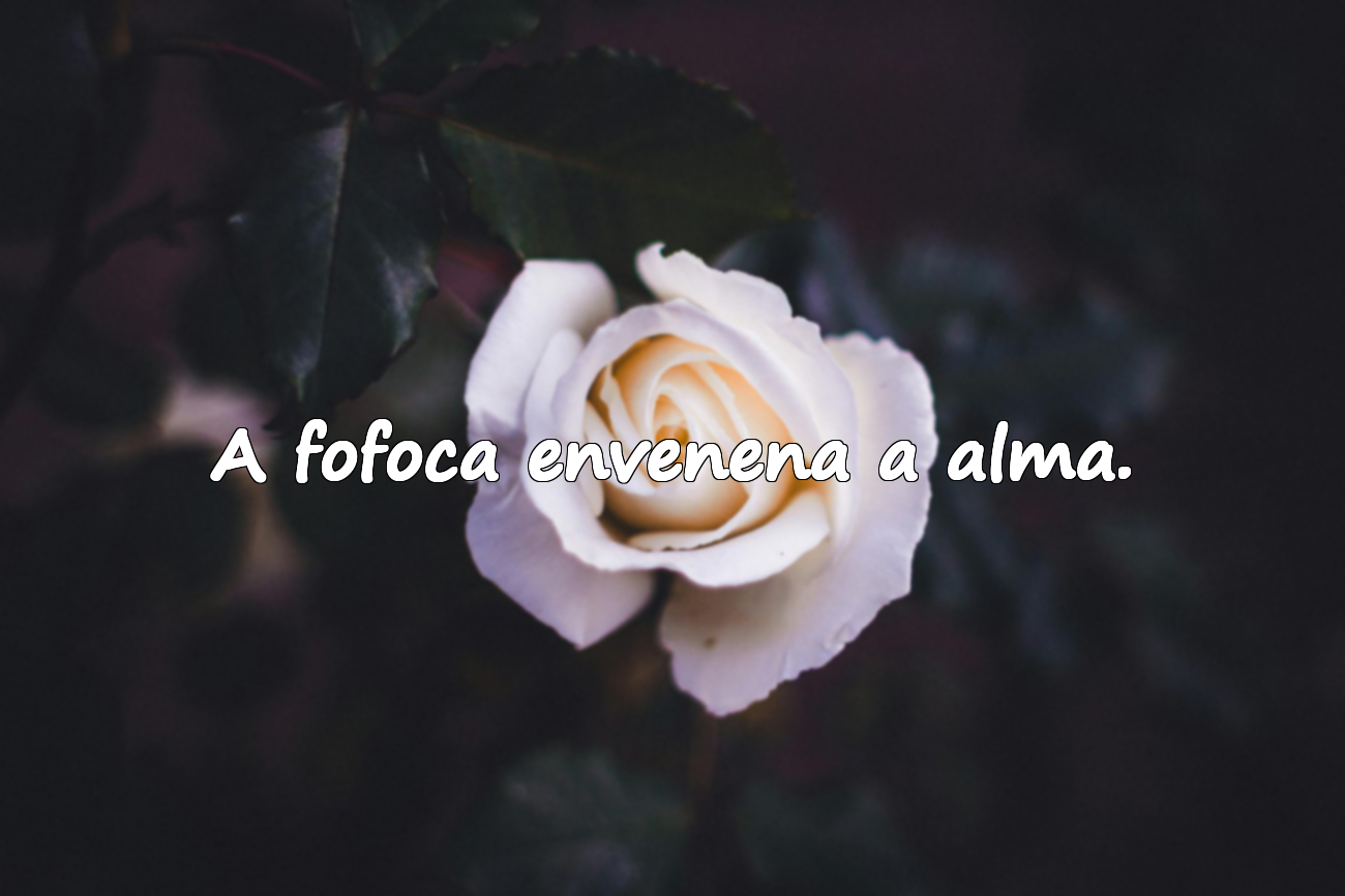 Frases sobre fofoca