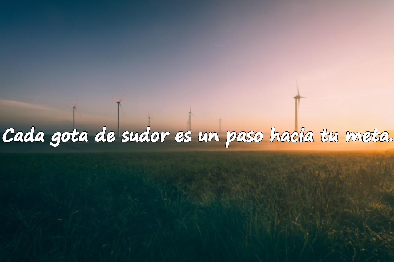 Frases sobre hacer deporte