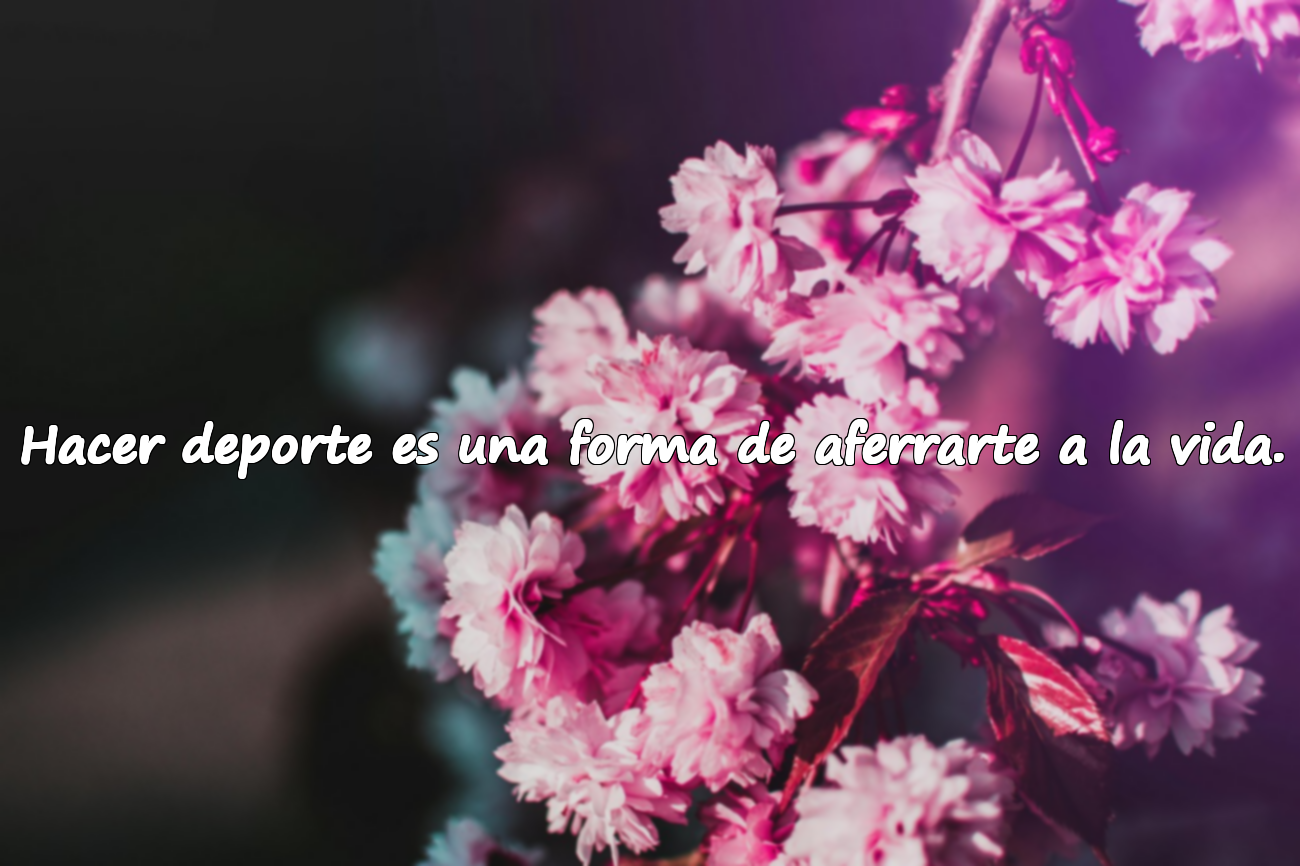 Frases sobre hacer deporte