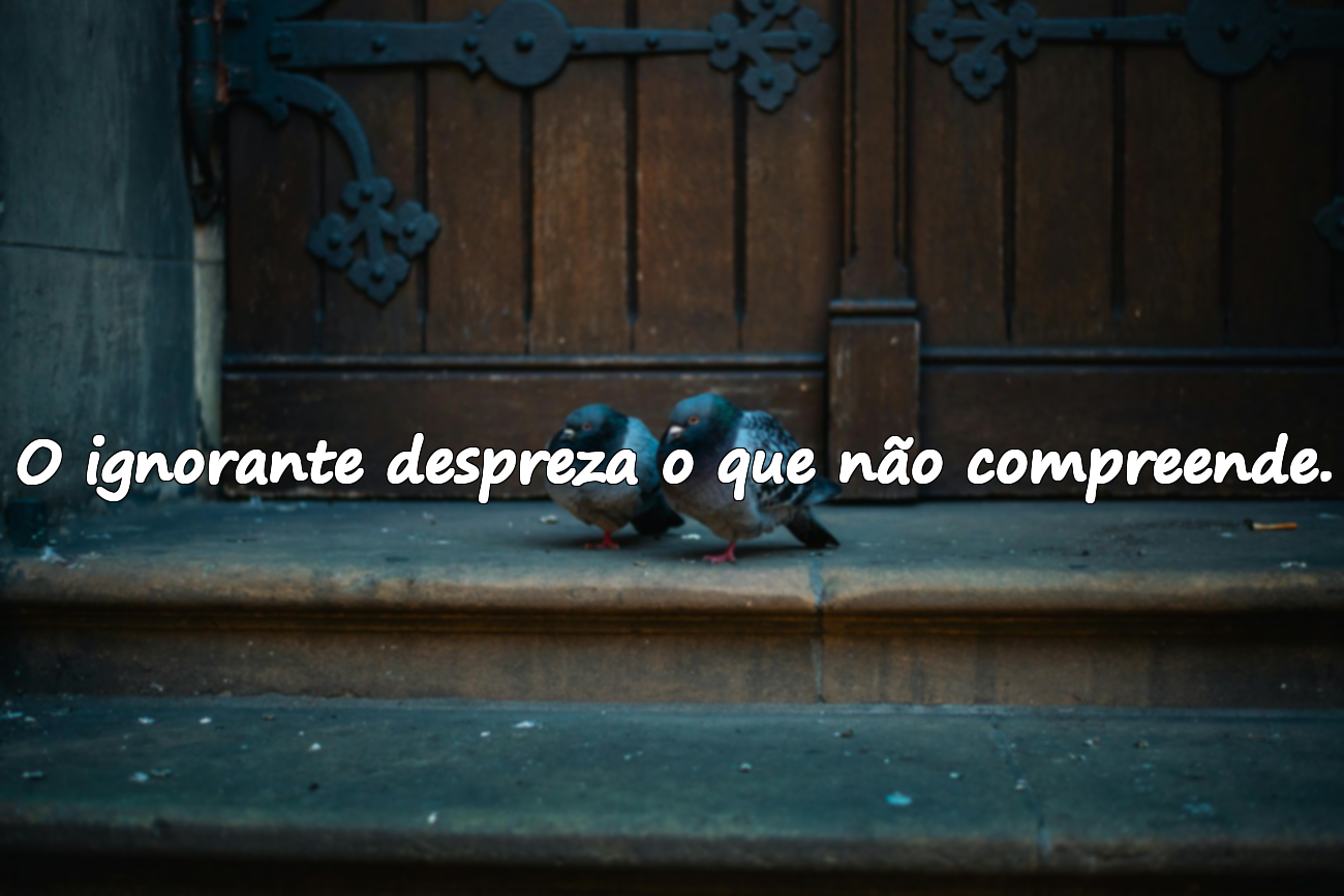 Frases sobre ignorância