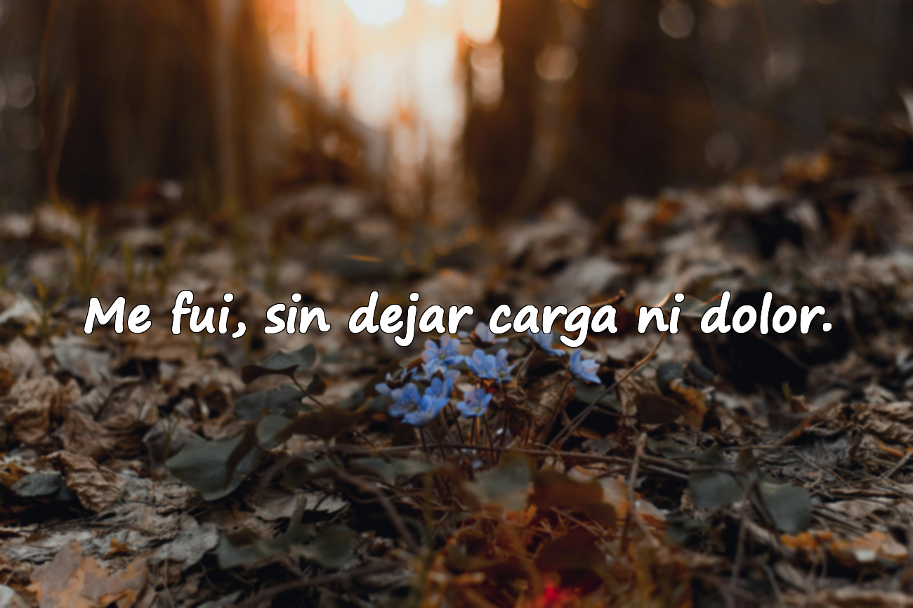 Me fui, sin dejar carga ni dolor.