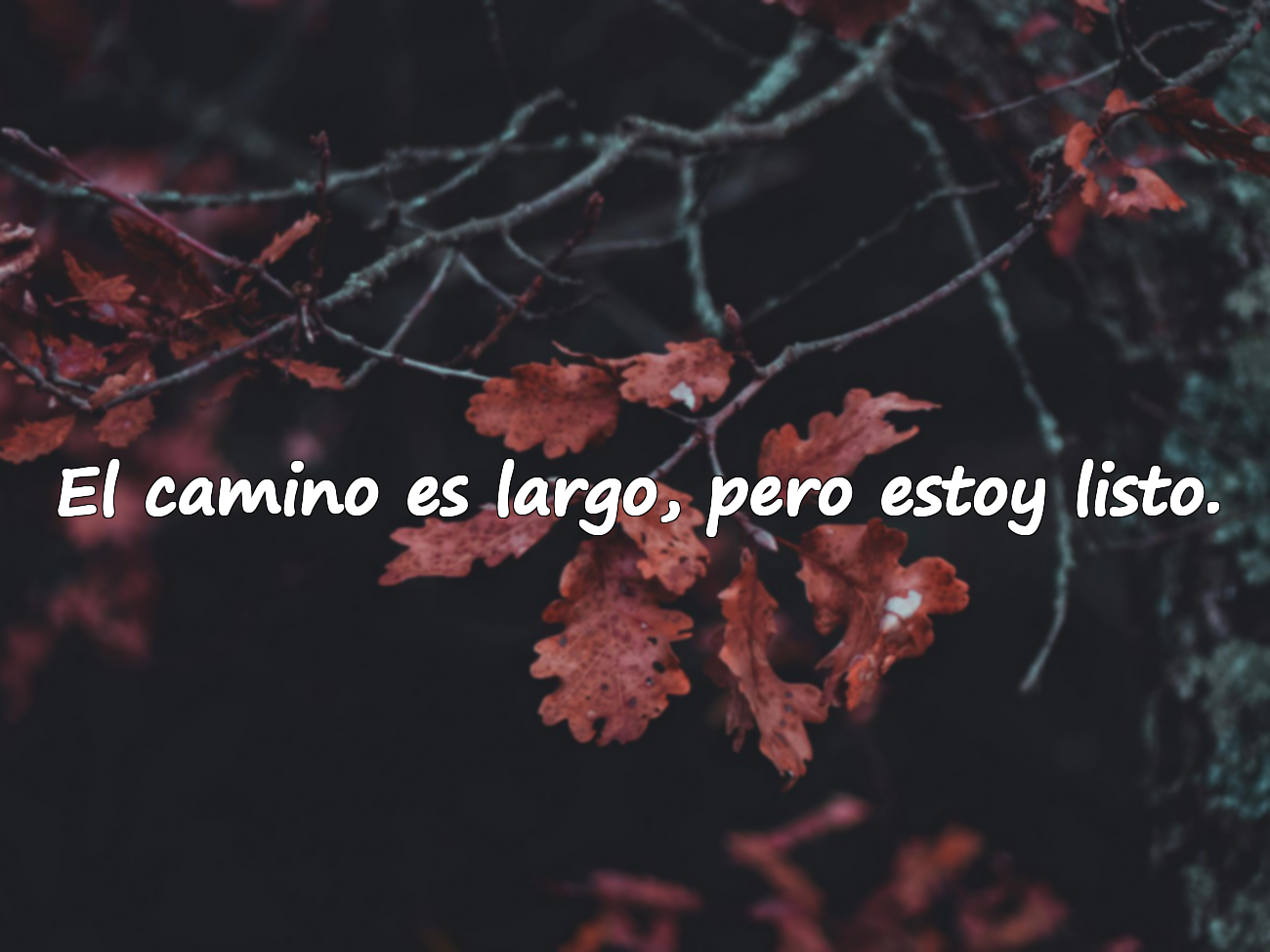 El camino es largo, pero estoy listo.