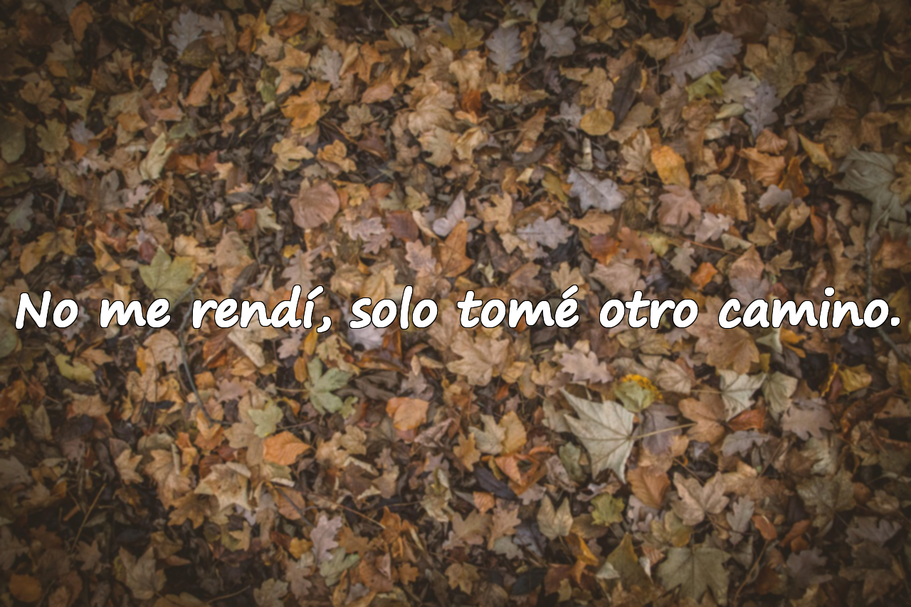 No me rendí, solo tomé otro camino.
