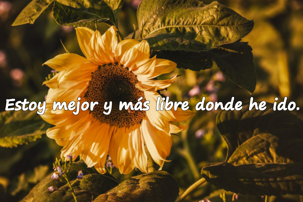 Estoy mejor y más libre donde he ido.