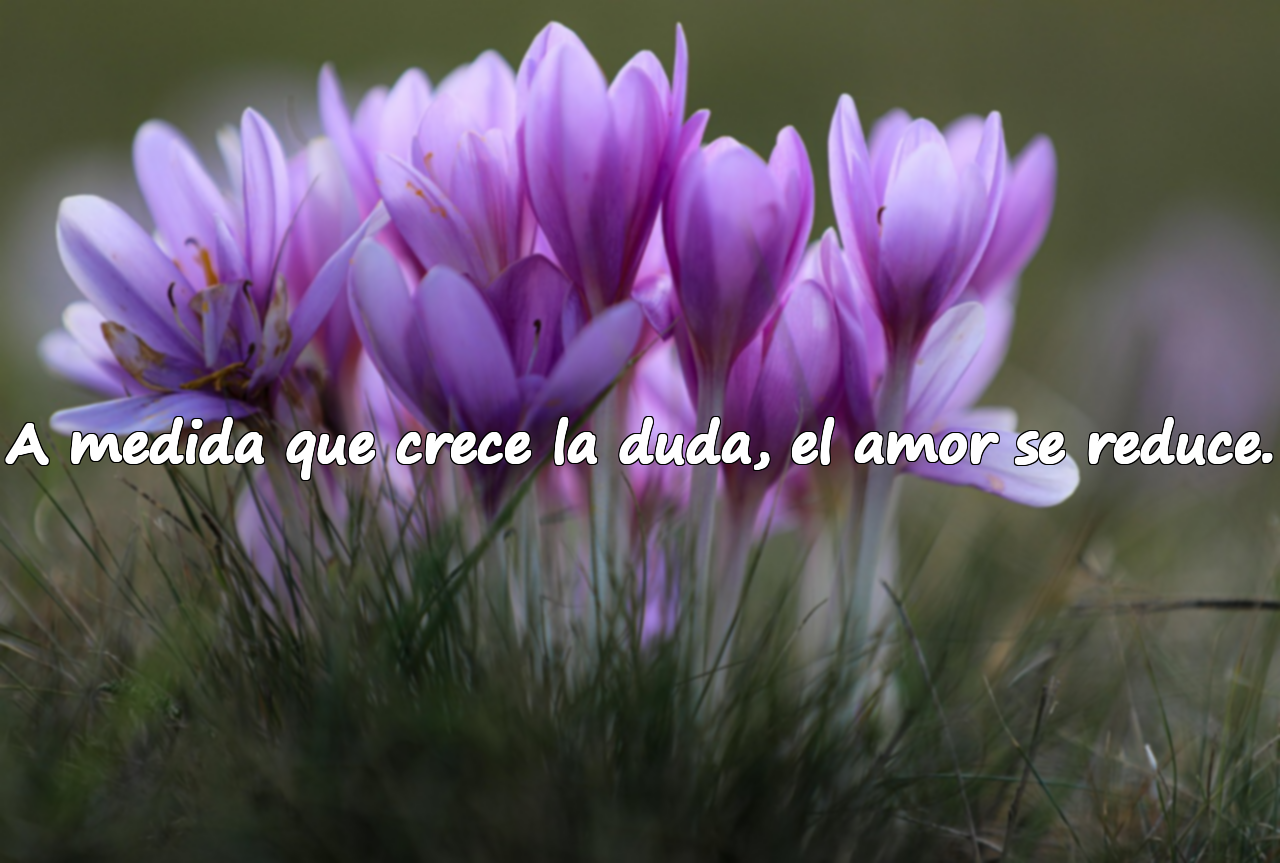 A medida que crece la duda, el amor se reduce.