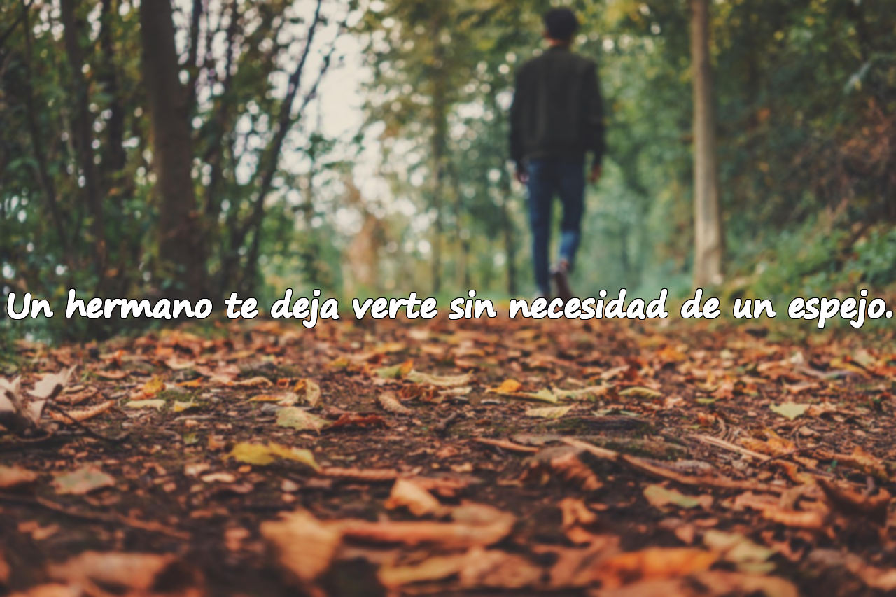 Un hermano te deja verte sin necesidad de un espejo.