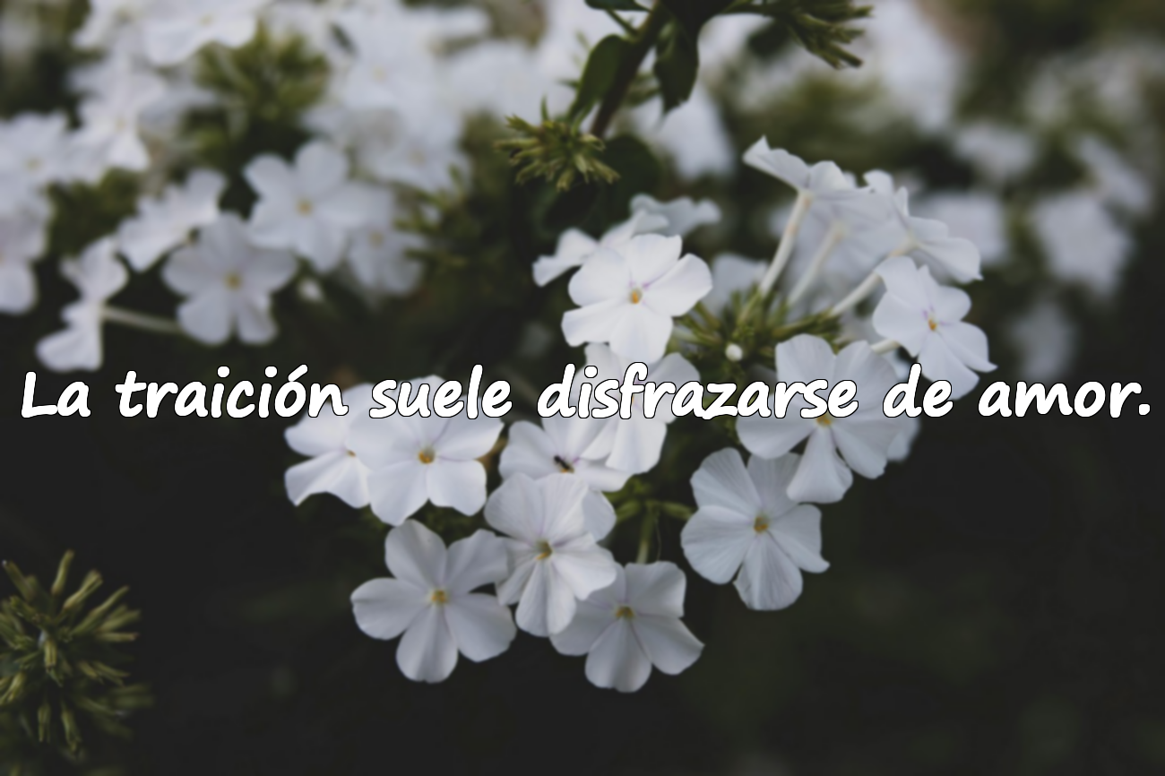 Frases sobre la Infidelidad