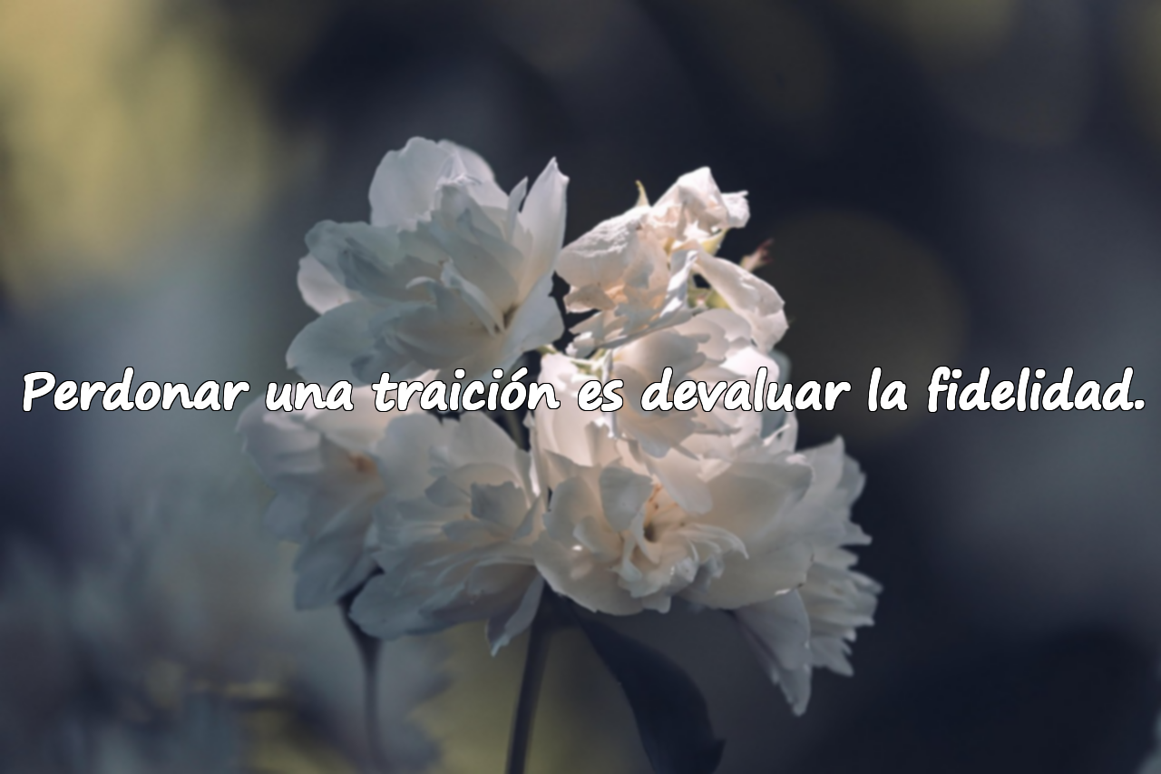Frases sobre la Infidelidad