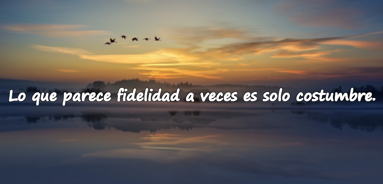 Frases sobre la Infidelidad