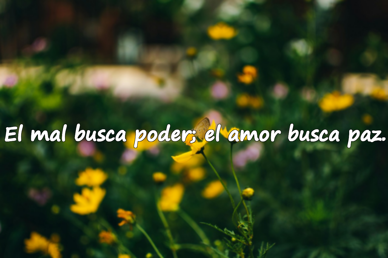 Frases sobre la Maldad