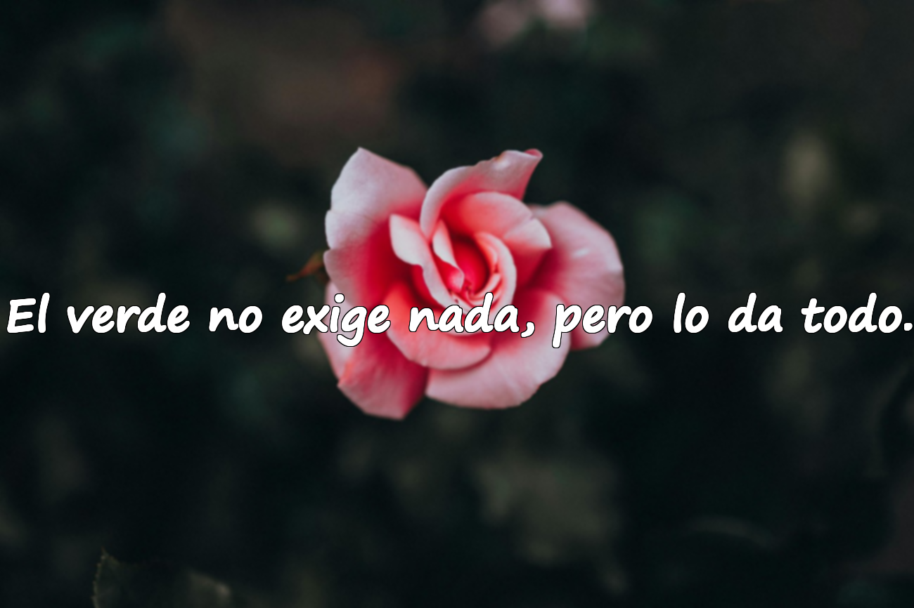 Frases sobre la Naturaleza y el Verde