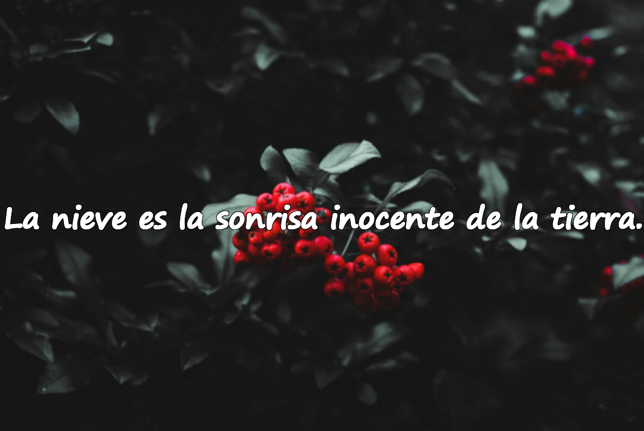 La nieve es la sonrisa inocente de la tierra.