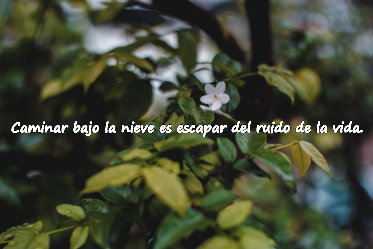 Caminar bajo la nieve es escapar del ruido de la vida.