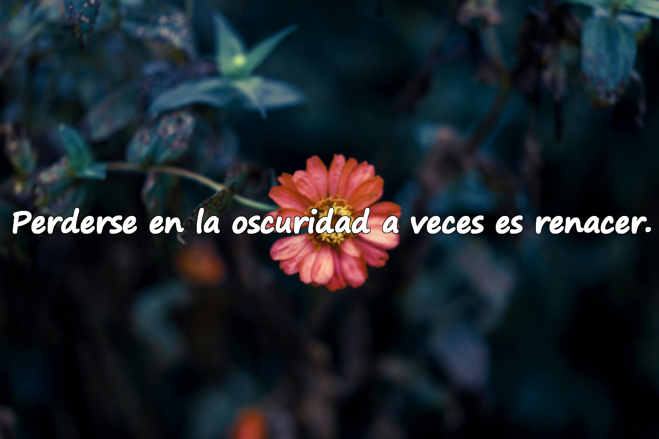 Perderse en la oscuridad a veces es renacer.