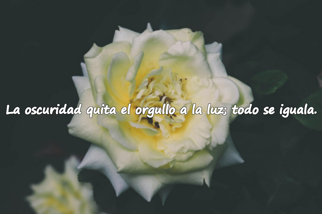 La oscuridad quita el orgullo a la luz; todo se iguala.