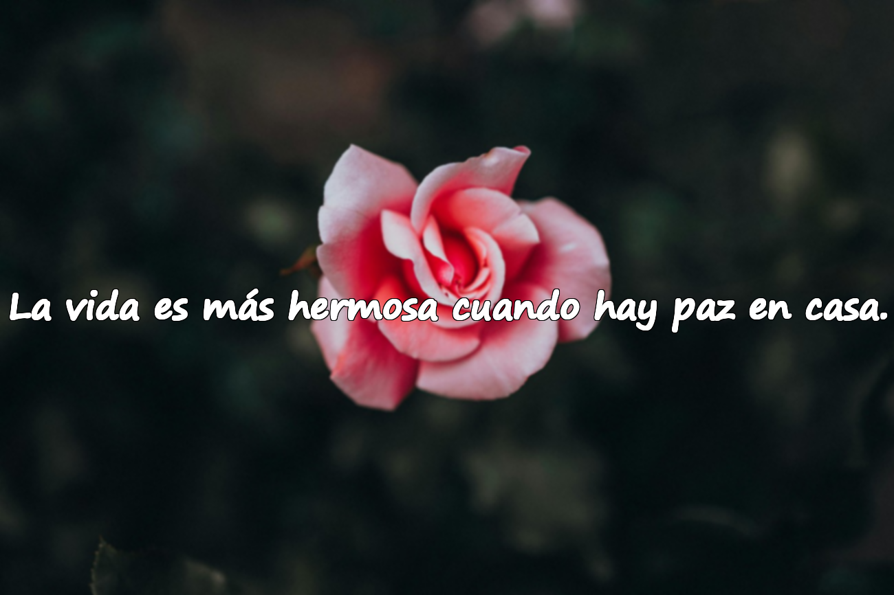 La vida es más hermosa cuando hay paz en casa.