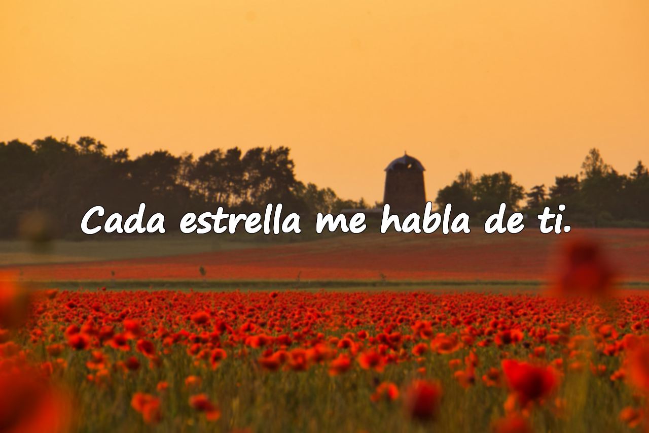 Frases sobre la Tarde/Noche