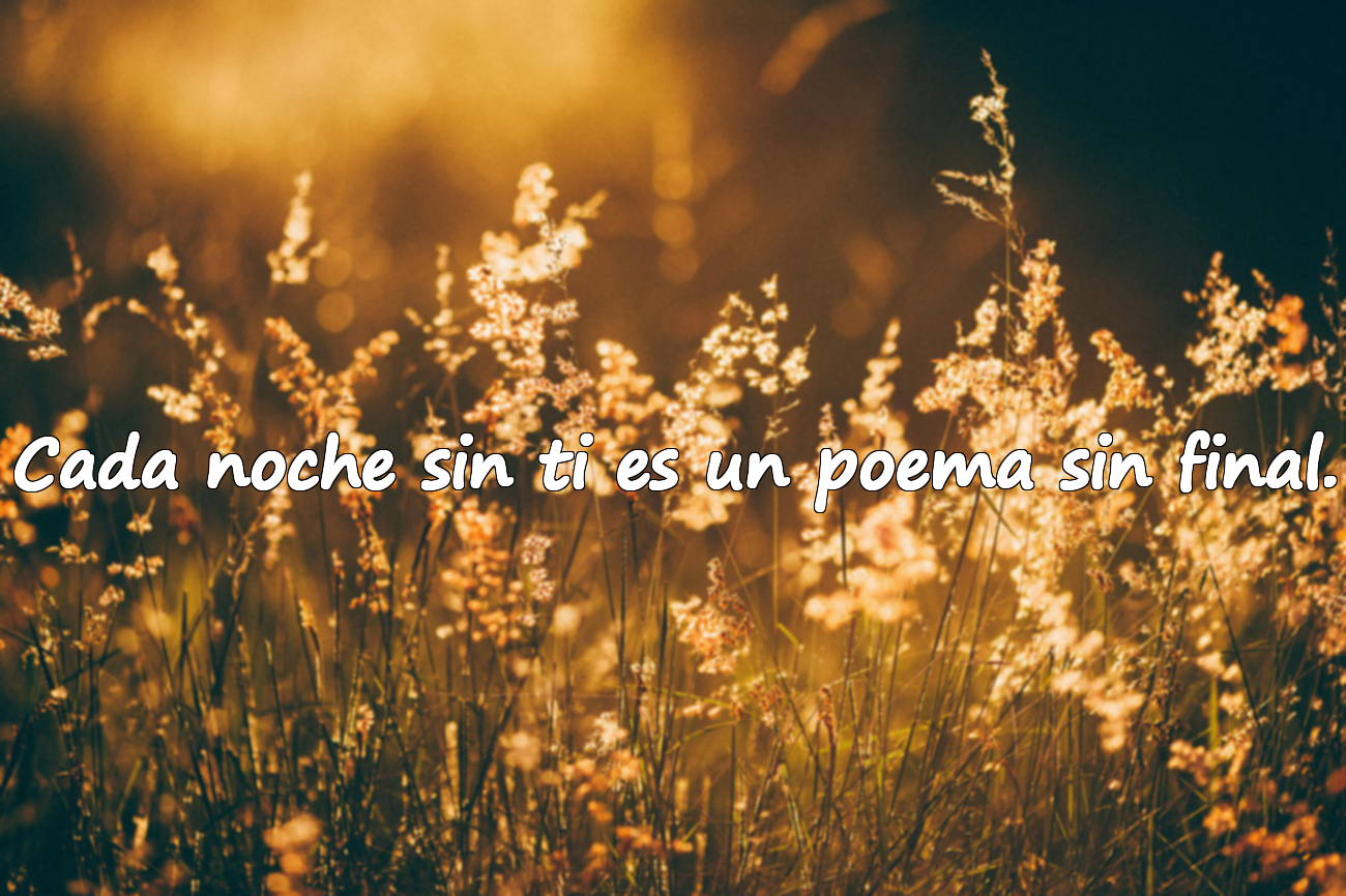 Frases sobre la Tarde/Noche